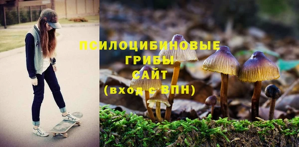 винт Белокуриха