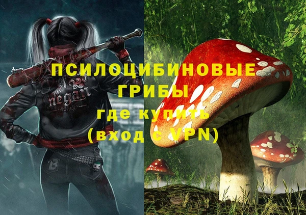 винт Белокуриха