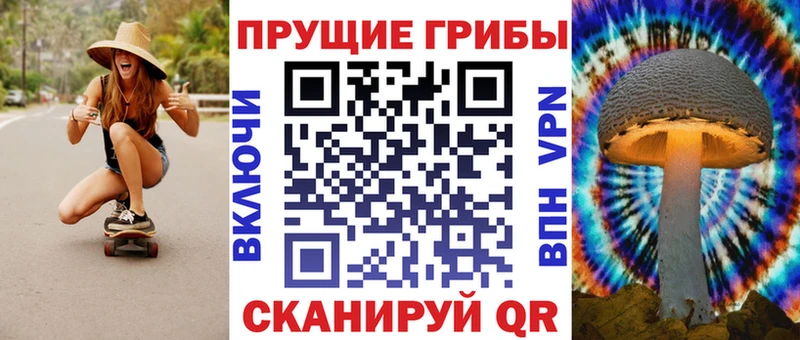 Купить закладки  Ельня  Псилоцибиновые грибы MAGIC MUSHROOMS 